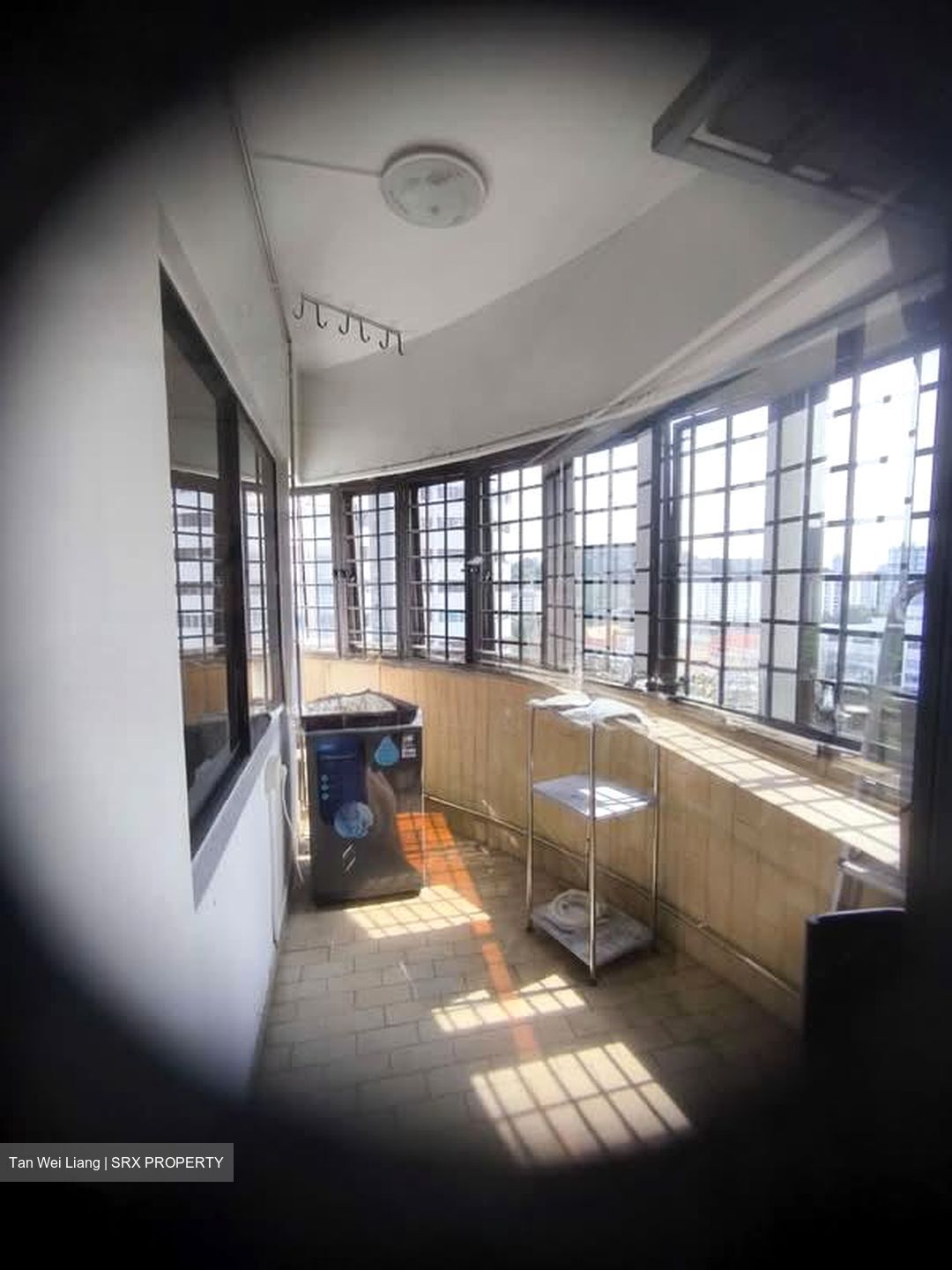 Teresa Ville (D4), Condominium #595846061